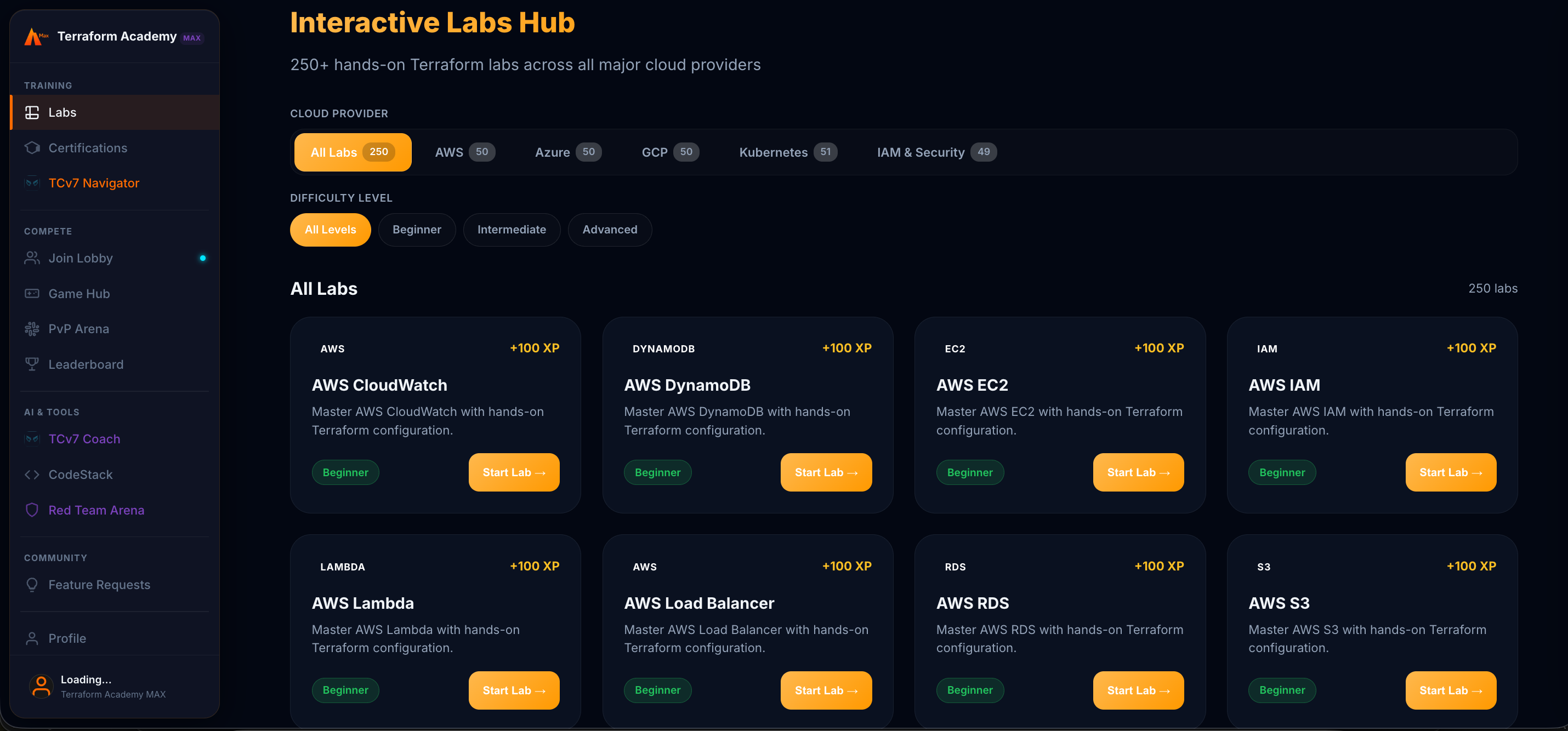 Interactive Labs